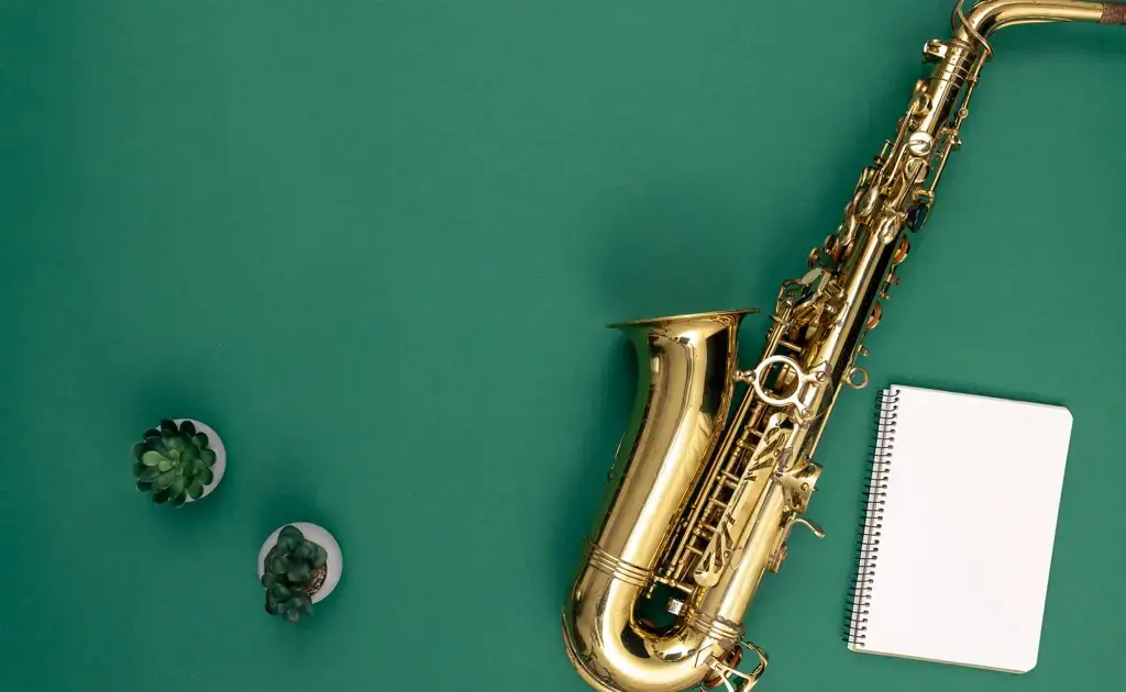 Clases de saxofón para niños en Bogotá. Clases de saxofón para adultos en Bogotá. Curso de saxofón para niños, jóvenes y adultos en Bogotá